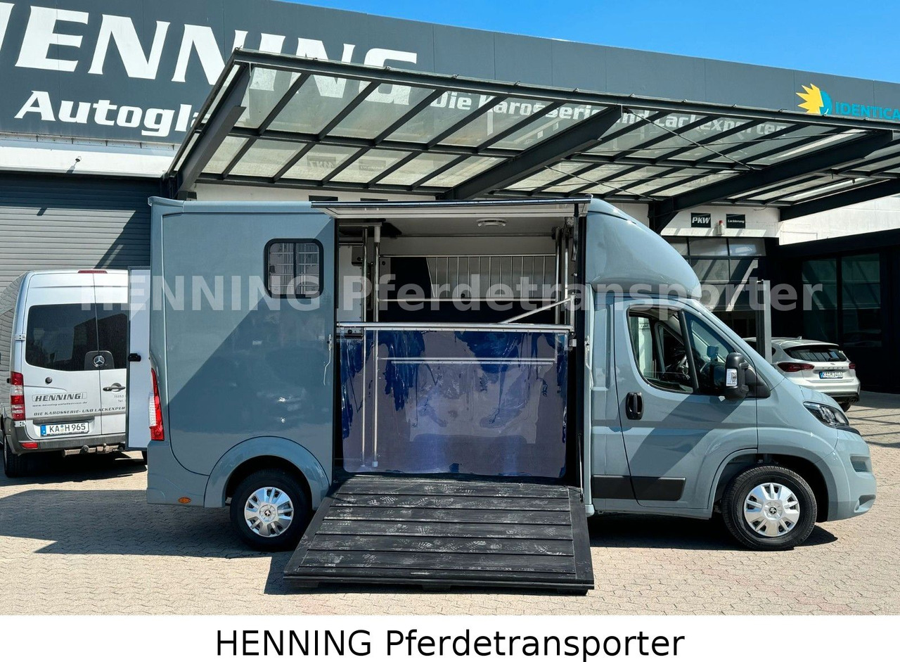 Peugeot Boxer 3-Sitzer *NEUWAGEN* 1000 KG NUTZLAST - 马匹运输车:图4 Peugeot Boxer 3-Sitzer *NEUWAGEN* 1000 KG NUTZLAST - 马匹运输车:图4