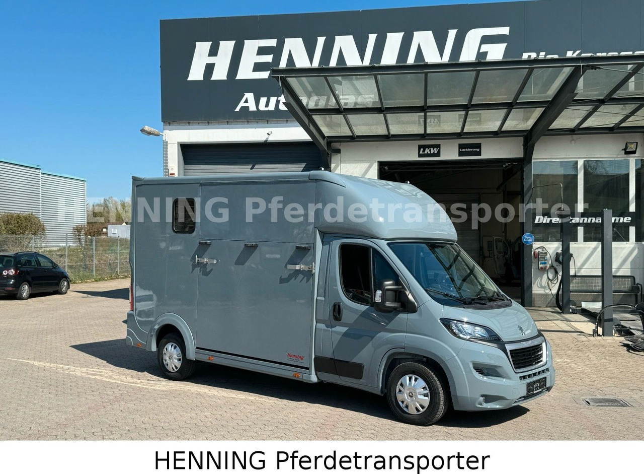 Peugeot Boxer 3-Sitzer *NEUWAGEN* 1000 KG NUTZLAST - 马匹运输车:图1 Peugeot Boxer 3-Sitzer *NEUWAGEN* 1000 KG NUTZLAST - 马匹运输车:图1