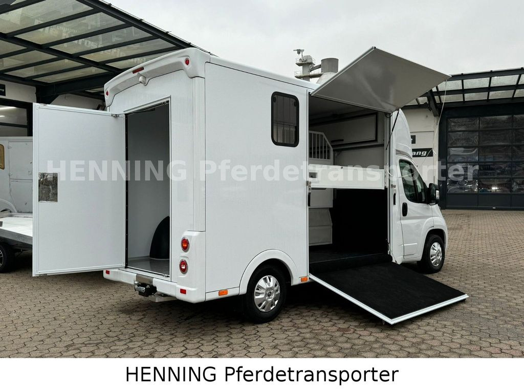 Peugeot Boxer *NEUWAGEN* ca. 1.200kg Nutzlast - 马匹运输车:图4 Peugeot Boxer *NEUWAGEN* ca. 1.200kg Nutzlast - 马匹运输车:图4