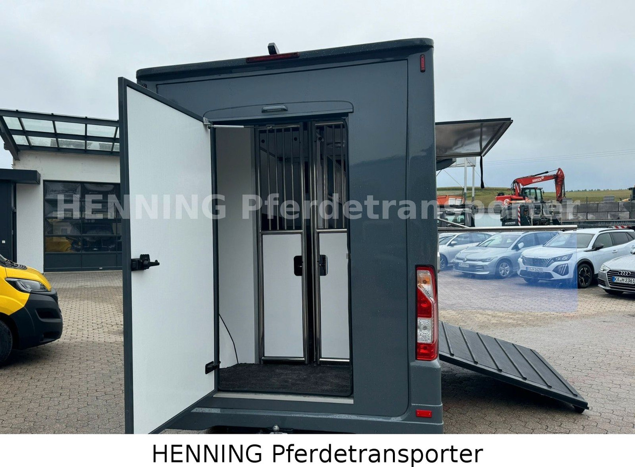 Renault Master 3 - Sitzer *NEUES MODELL* - 牲畜运输车:图4 Renault Master 3 - Sitzer *NEUES MODELL* - 牲畜运输车:图4