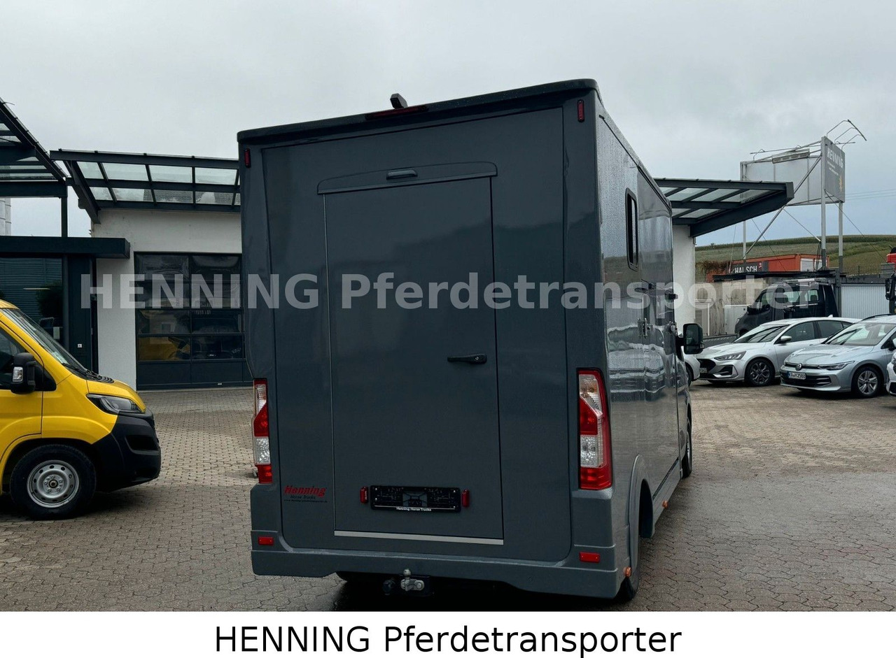 Renault Master 3 - Sitzer *NEUES MODELL* - 牲畜运输车:图3 Renault Master 3 - Sitzer *NEUES MODELL* - 牲畜运输车:图3