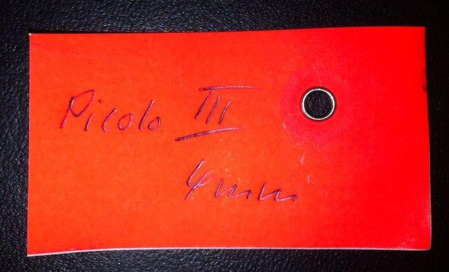 Hang Piccolo oiling machine - 移印机:图3 Hang Piccolo oiling machine - 移印机:图3