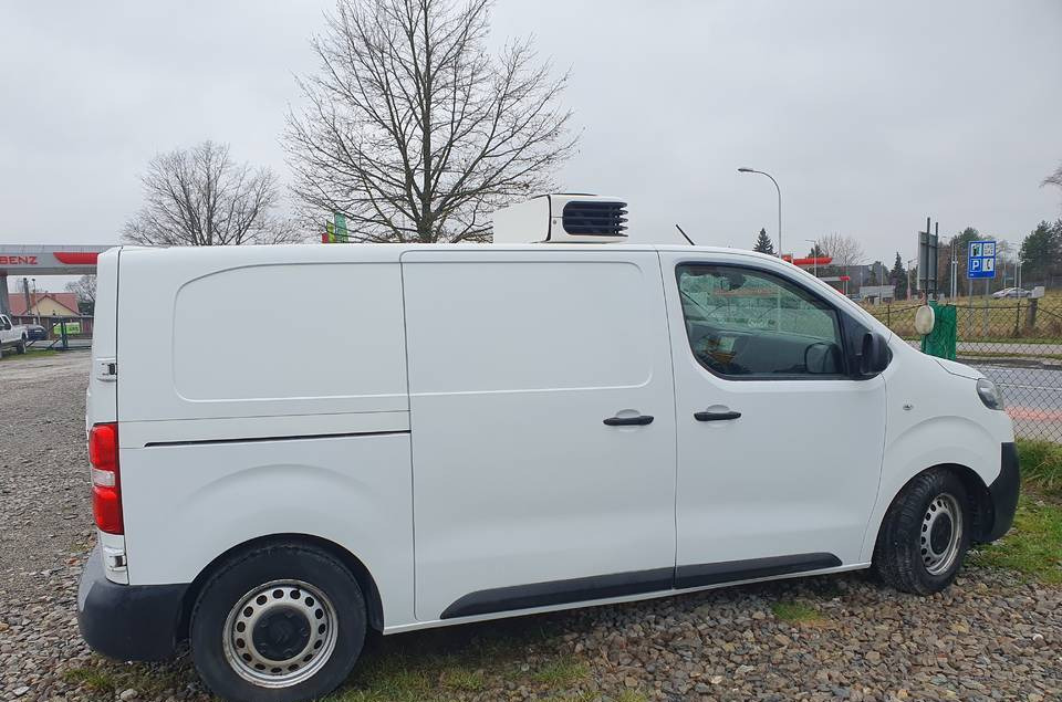 Citroen JUMPY CHLODNIA MROZNIA CARRIER+230V KLIMA EURO6 - 冷藏货车:图5 Citroen JUMPY CHLODNIA MROZNIA CARRIER+230V KLIMA EURO6 - 冷藏货车:图5
