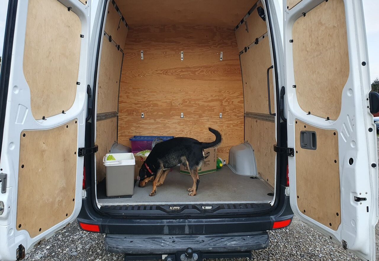 小型巴士, 小型客车 Mercedes-Benz SPRINTER 319 9 OSOB KLIMA WEBASTO TV TYL  PODUSZKI EURO5 [ Copy ]：图8
