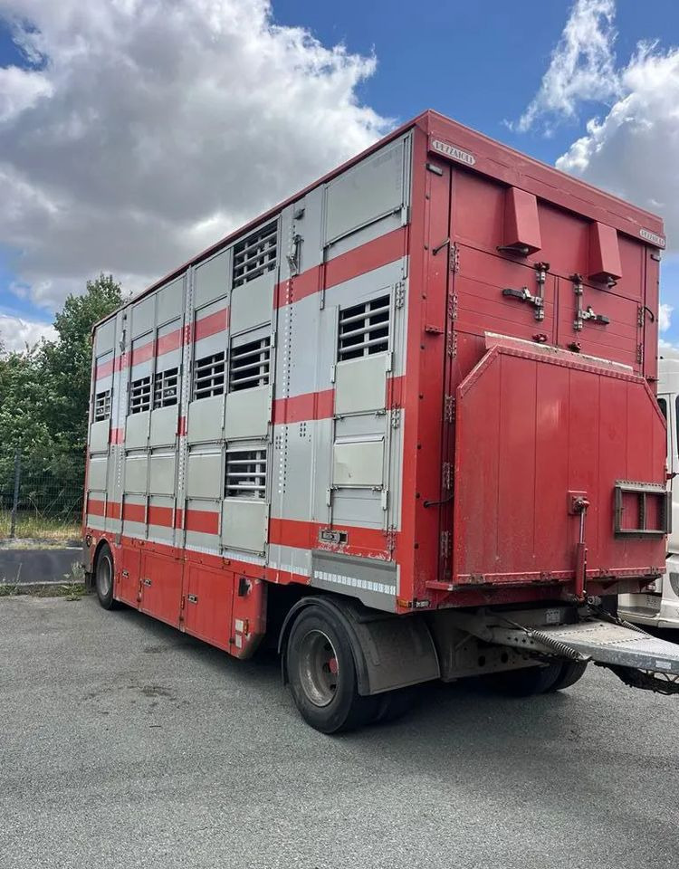 DAF XF 530 + Przyczepa Pezzaoli - 3X Trzoda, 2 X Bydło I 3 poziomy I Podnoszony dach I Hydroburta I Osie Skrętne I Poidła I Wentylatory I Pilot Manualny | - 牲畜运输车:图4 DAF XF 530 + Przyczepa Pezzaoli - 3X Trzoda, 2 X Bydło I 3 poziomy I Podnoszony dach I Hydroburta I Osie Skrętne I Poidła I Wentylatory I Pilot Manualny | - 牲畜运输车:图4