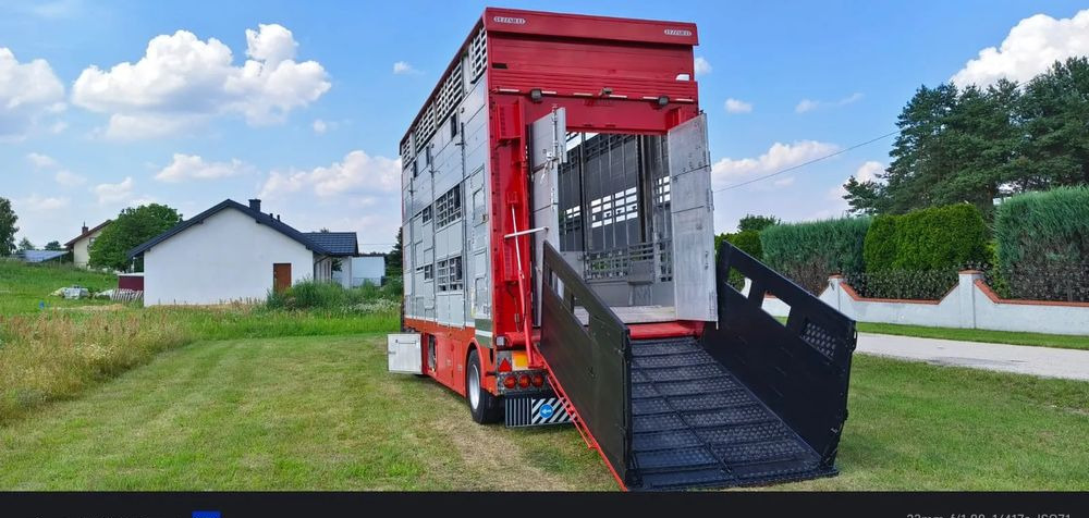 Pezzaioli RBA22 Dwuosiowa Przyczepa – 2x Bydło, 3x Trzoda – 2017r – Bezwypadkowa! - 牲畜运输拖车:图1 Pezzaioli RBA22 Dwuosiowa Przyczepa – 2x Bydło, 3x Trzoda – 2017r – Bezwypadkowa! - 牲畜运输拖车:图1