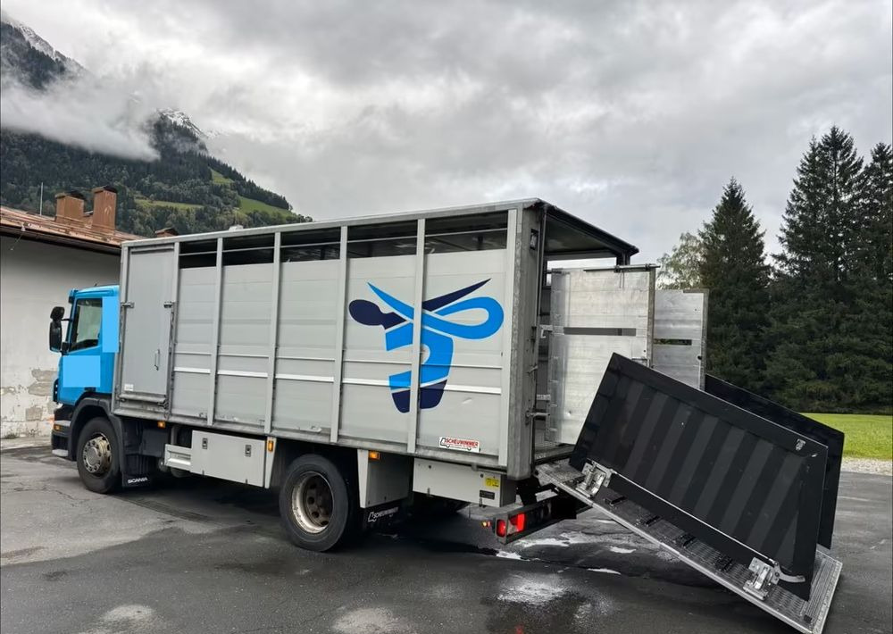 Scania P280 4x2 – Pojazd do przewozu zwierząt VIEHFAHRZEUG / jednopoziomowy – 171.000 km!! – Euro 5 - 牲畜运输车:图5 Scania P280 4x2 – Pojazd do przewozu zwierząt VIEHFAHRZEUG / jednopoziomowy – 171.000 km!! – Euro 5 - 牲畜运输车:图5