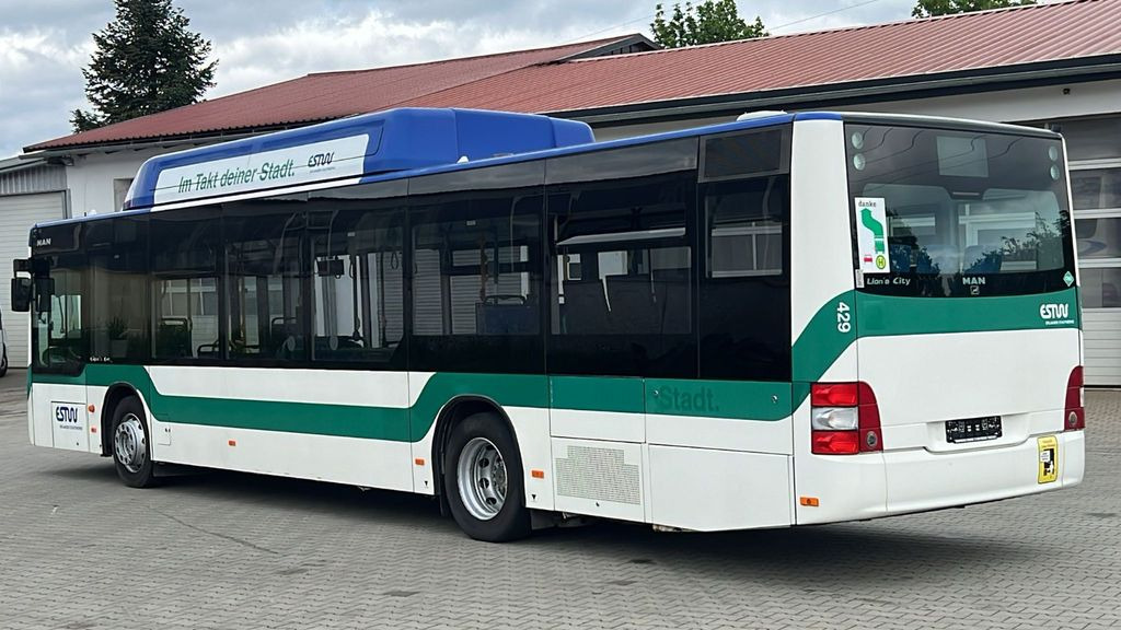 MAN A 21 CNG Euro 5 EEV MAN A 21 CNG Euro 5 EEV - 城市巴士:图5 MAN A 21 CNG Euro 5 EEV MAN A 21 CNG Euro 5 EEV - 城市巴士:图5