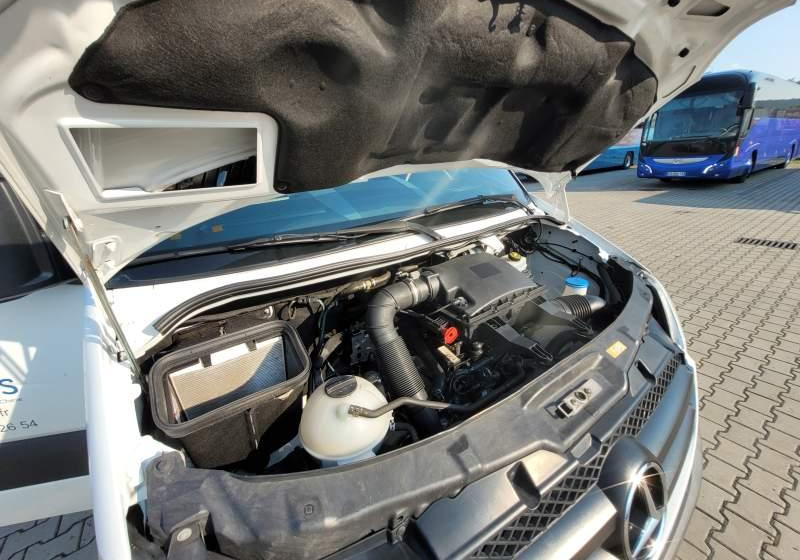 小型巴士, 小型客车 Mercedes-Benz 513 SPRINTER TRANSFER / SPROWADZONY/ MANUAL：图6