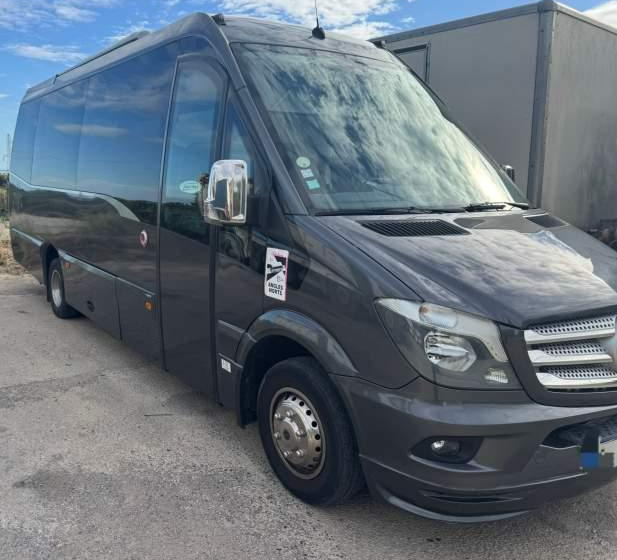Mercedes-Benz SPICA / SPRINTER 519 / SPROWADZONY / KLIMA / TV - 长途客车:图1 Mercedes-Benz SPICA / SPRINTER 519 / SPROWADZONY / KLIMA / TV - 长途客车:图1