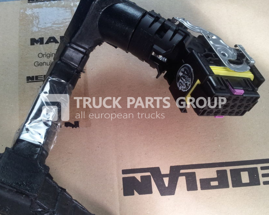 MAN TGA, TGX, TGS, TGM, TGL, EURO3, EURO4, EURO5, EURO6 cable harnes wiring - 电缆/ 线束 适用于 卡车:图3 MAN TGA, TGX, TGS, TGM, TGL, EURO3, EURO4, EURO5, EURO6 cable harnes wiring - 电缆/ 线束 适用于 卡车:图3