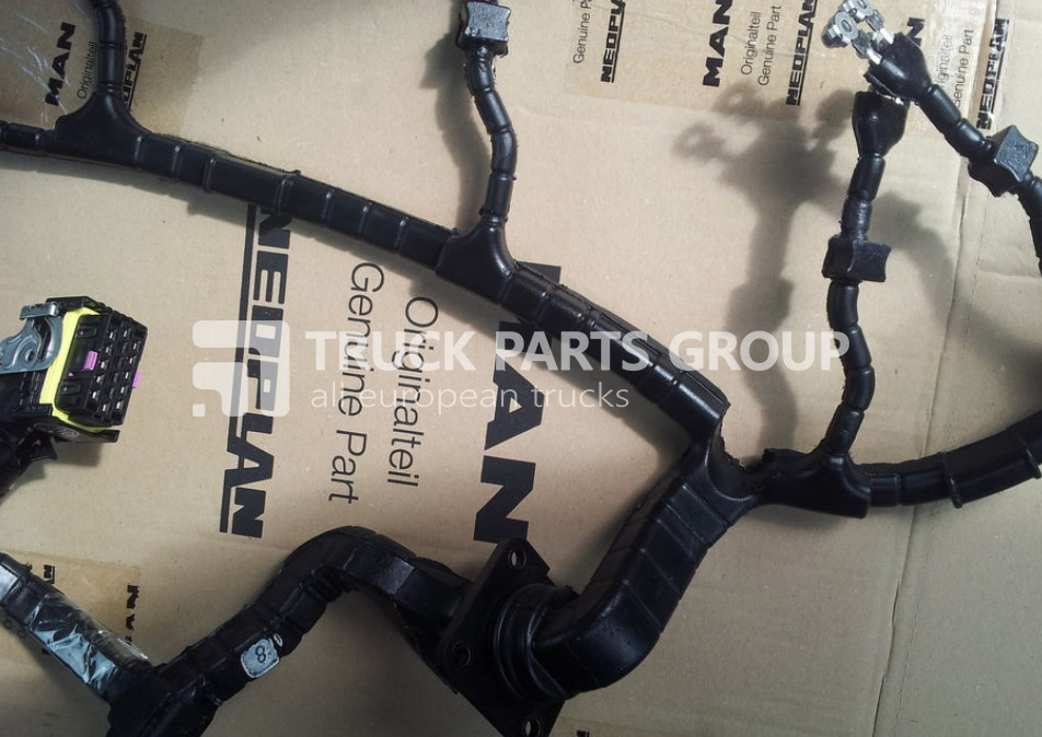 MAN TGA, TGX, TGS, TGM, TGL, EURO3, EURO4, EURO5, EURO6 cable harnes wiring - 电缆/ 线束 适用于 卡车:图1 MAN TGA, TGX, TGS, TGM, TGL, EURO3, EURO4, EURO5, EURO6 cable harnes wiring - 电缆/ 线束 适用于 卡车:图1