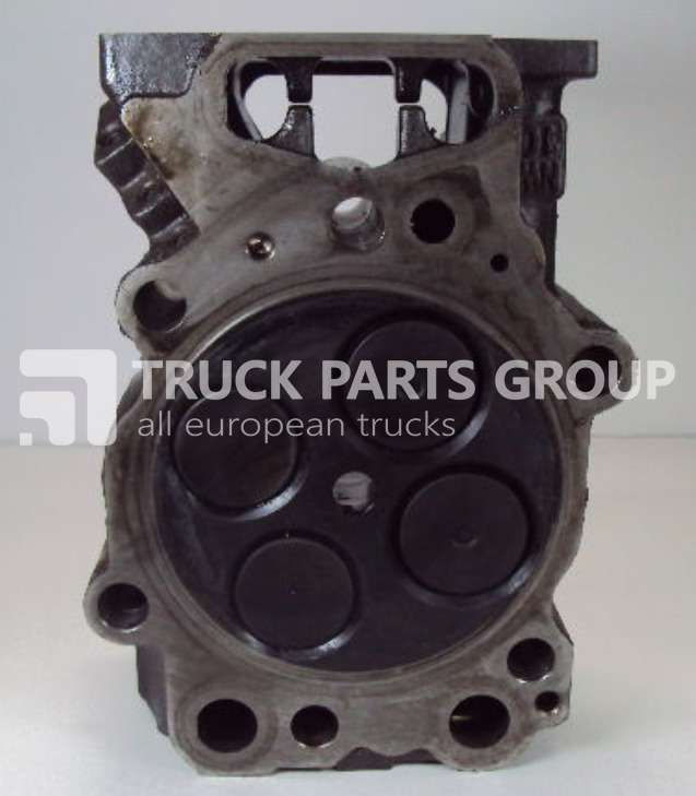 SCANIA HPI EURO3, EURO4 cylinder head + XPI EURO5 cylinder head, DT1212 cylinder head - 汽缸盖 适用于 卡车:图1 SCANIA HPI EURO3, EURO4 cylinder head + XPI EURO5 cylinder head, DT1212 cylinder head - 汽缸盖 适用于 卡车:图1