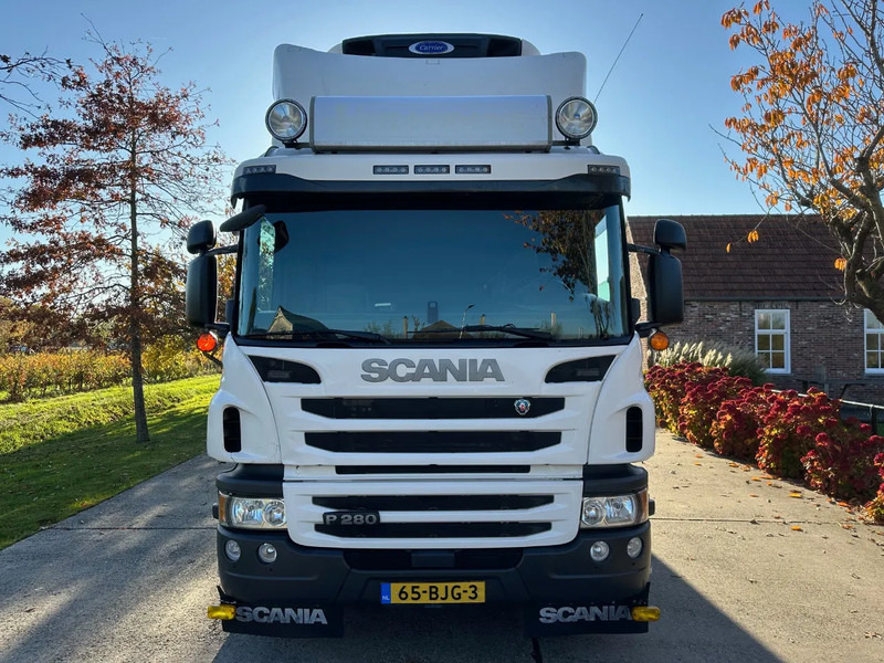 Scania P280 / NL TRUCK / EURO 6 / FULL AIR / CARRIER SUPRA 1250 / TOPCONDITION / LIFT+DOORS - 冷藏车:图2 Scania P280 / NL TRUCK / EURO 6 / FULL AIR / CARRIER SUPRA 1250 / TOPCONDITION / LIFT+DOORS - 冷藏车:图2