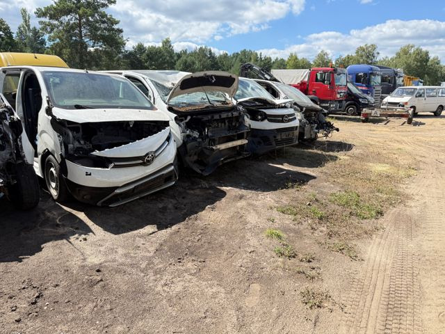 Toyota Proace L1 Kasten Meister ERSATZTEILENSPENDER - 紧凑型面包车:图3 Toyota Proace L1 Kasten Meister ERSATZTEILENSPENDER - 紧凑型面包车:图3