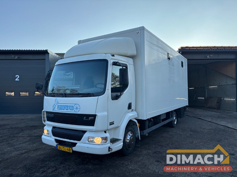 DAF FA LF45.150 4 paards, laadlift. Horsetruck NL truck - 马匹运输车:图1 DAF FA LF45.150 4 paards, laadlift. Horsetruck NL truck - 马匹运输车:图1