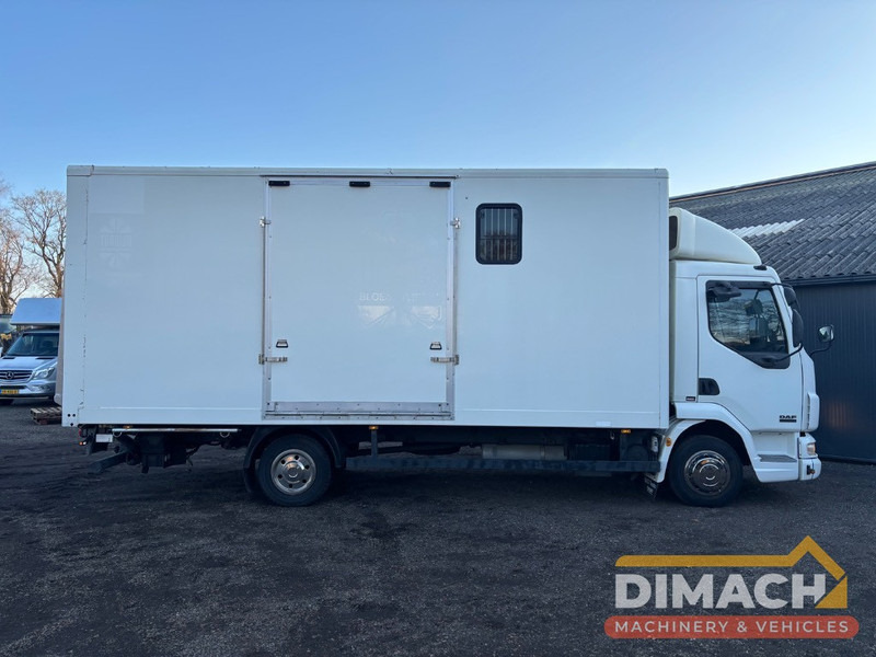 DAF FA LF45.150 4 paards, laadlift. Horsetruck NL truck - 马匹运输车:图4 DAF FA LF45.150 4 paards, laadlift. Horsetruck NL truck - 马匹运输车:图4