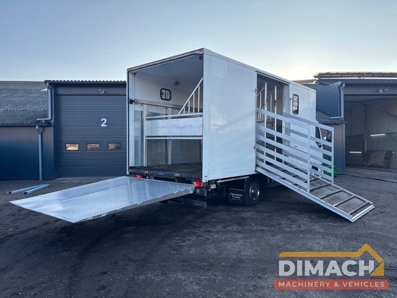 DAF FA LF45.150 4 paards, laadlift. Horsetruck NL truck - 马匹运输车:图2 DAF FA LF45.150 4 paards, laadlift. Horsetruck NL truck - 马匹运输车:图2