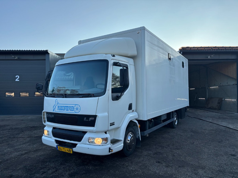 DAF LF 45.150 4 paards, laadlift. Horsetruck NL truck - 牲畜运输车:图1 DAF LF 45.150 4 paards, laadlift. Horsetruck NL truck - 牲畜运输车:图1