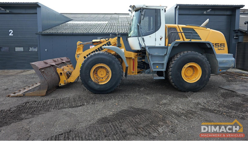 Liebherr L556 Like new!! Airco, quick coupler, skeleton bucket with teeths - 装载机:图1 Liebherr L556 Like new!! Airco, quick coupler, skeleton bucket with teeths - 装载机:图1