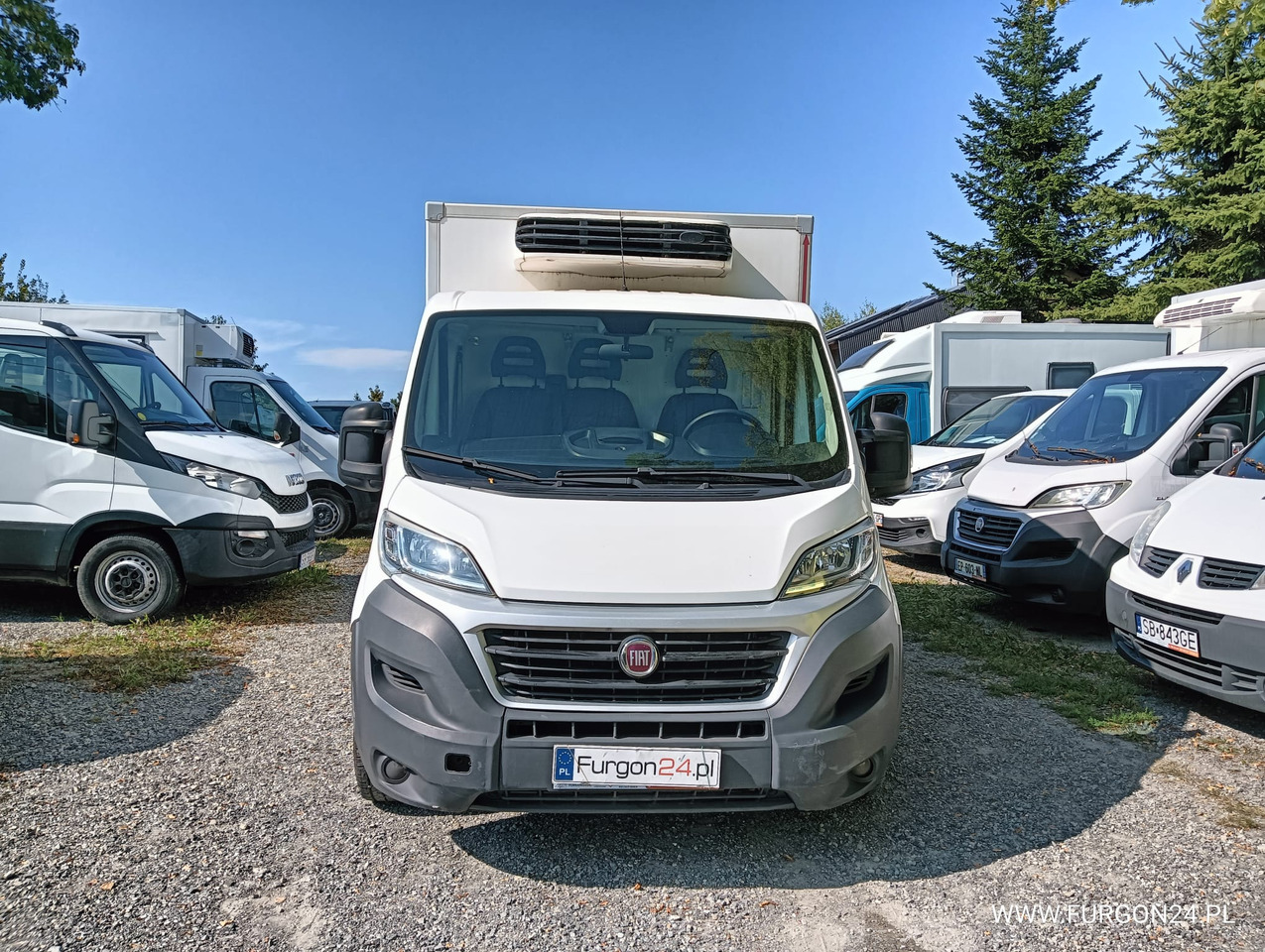 FIAT DUCATO KONTENER CHŁODNIA NR 783 - 冷藏货车:图2 FIAT DUCATO KONTENER CHŁODNIA NR 783 - 冷藏货车:图2