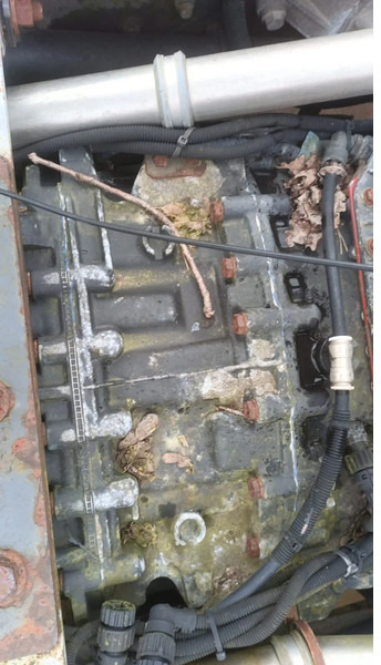 Renault Premium 420 Dci Engine + Automatic Gearbox - 发动机 适用于 卡车:图5 Renault Premium 420 Dci Engine + Automatic Gearbox - 发动机 适用于 卡车:图5