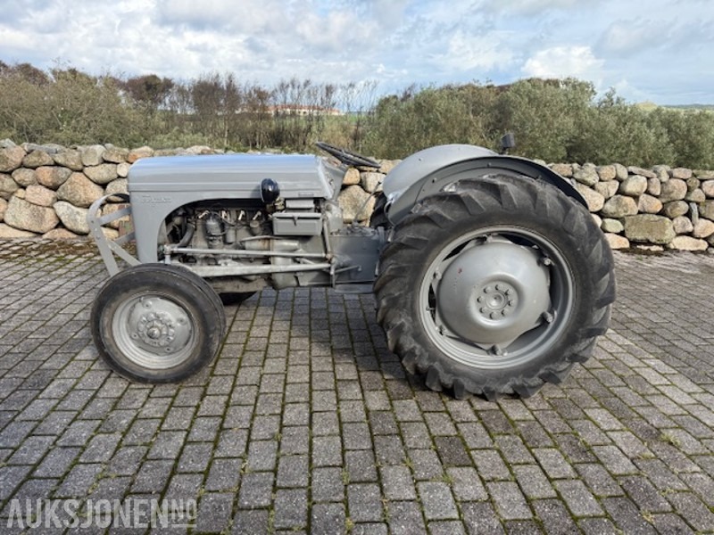 拖拉机 1960 Massey Ferguson Gråtass：图1