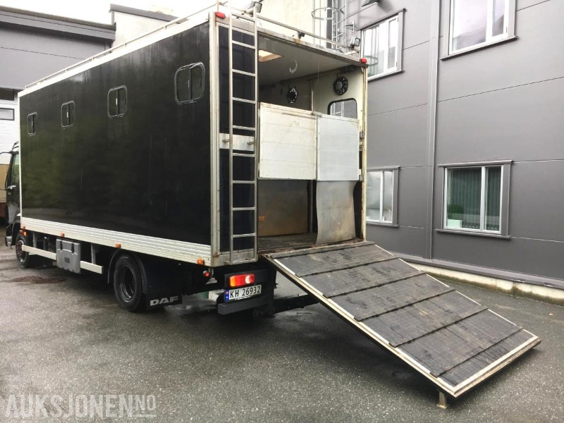 2004 DAF LF 45.220 - Hestebil / Transportbil, 202552km - 市政/ 专用车辆:图2 2004 DAF LF 45.220 - Hestebil / Transportbil, 202552km - 市政/ 专用车辆:图2