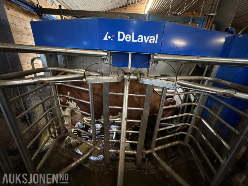 2013 DeLaval VMS melkerobot med 1 kraftfôrstasjon FSC40 - Høyre utgave - Steam - Innredning og grinder foran - Vakuumpumpe - Fortsatt i daglig drift - 农业机械:图5 2013 DeLaval VMS melkerobot med 1 kraftfôrstasjon FSC40 - Høyre utgave - Steam - Innredning og grinder foran - Vakuumpumpe - Fortsatt i daglig drift - 农业机械:图5