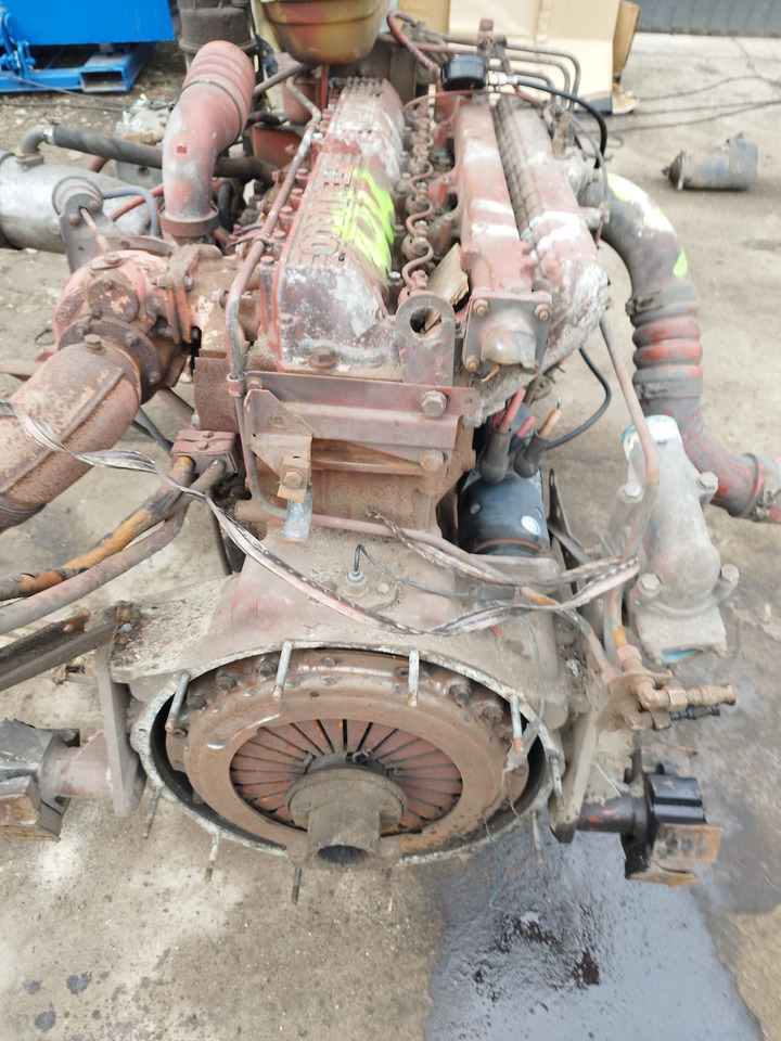 IVECO 8460.41M.70 IVECO MAGIRUS, FIAT, UNIC - 发动机 适用于 巴士:图5 IVECO 8460.41M.70 IVECO MAGIRUS, FIAT, UNIC - 发动机 适用于 巴士:图5