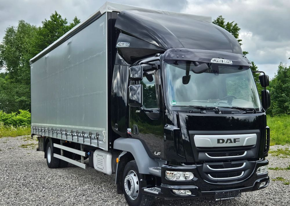 DAF LF 290 / WINDA / 16TON DMC / FIRANKA / AUTOMAT / JEDEN WŁAŚCICIE / EURO 6 / 2019 / SPROWADZONY / 20PALET / NISKI PRZEBIEG / DUŻA ŁADOWNOŚĆ / JAK NOWY - 侧帘卡车:图3 DAF LF 290 / WINDA / 16TON DMC / FIRANKA / AUTOMAT / JEDEN WŁAŚCICIE / EURO 6 / 2019 / SPROWADZONY / 20PALET / NISKI PRZEBIEG / DUŻA ŁADOWNOŚĆ / JAK NOWY - 侧帘卡车:图3