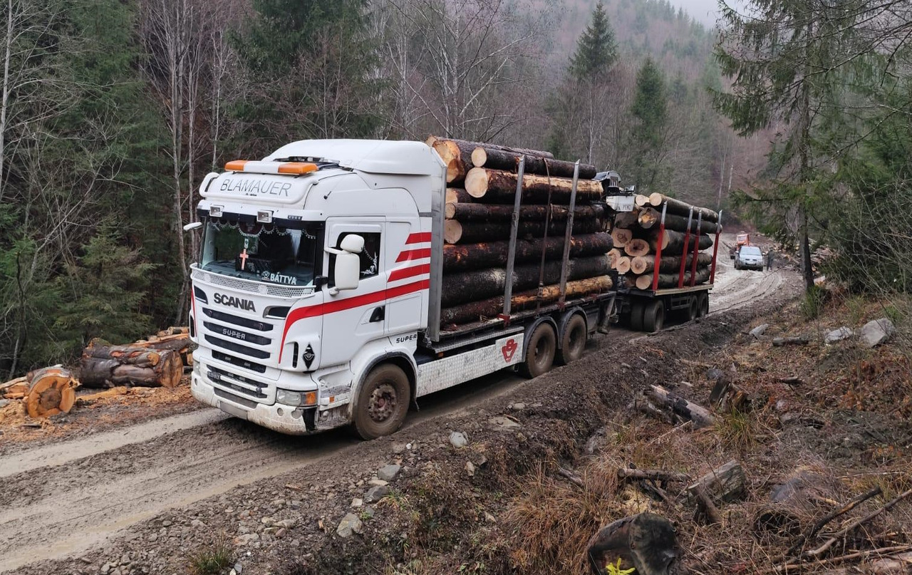 SCANIA R560 V8 - 木材运输车, 起重车:图2 SCANIA R560 V8 - 木材运输车, 起重车:图2