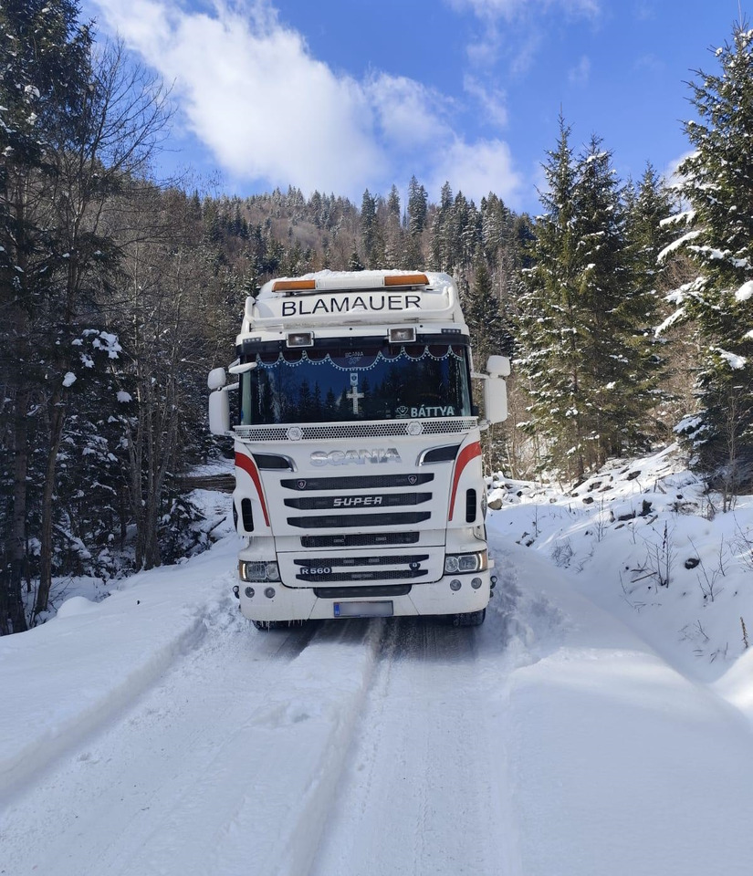 SCANIA R560 V8 - 木材运输车, 起重车:图4 SCANIA R560 V8 - 木材运输车, 起重车:图4