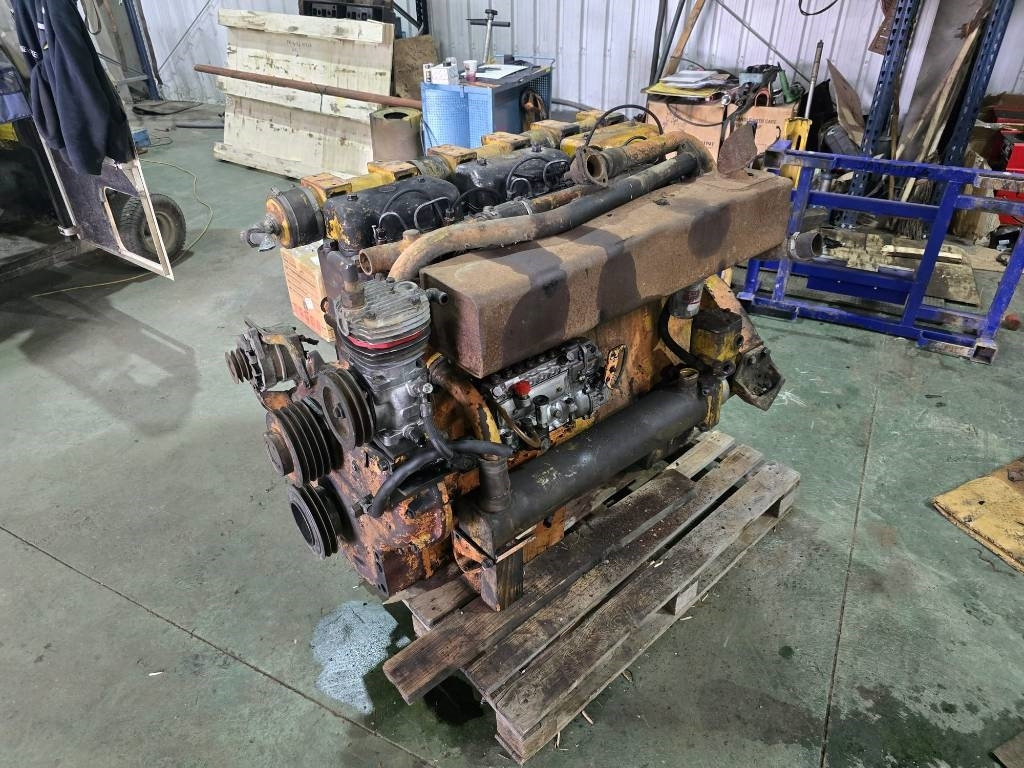 Hanomag 6 Cylinder ENGINE - 发动机 适用于 建筑机械:图1 Hanomag 6 Cylinder ENGINE - 发动机 适用于 建筑机械:图1