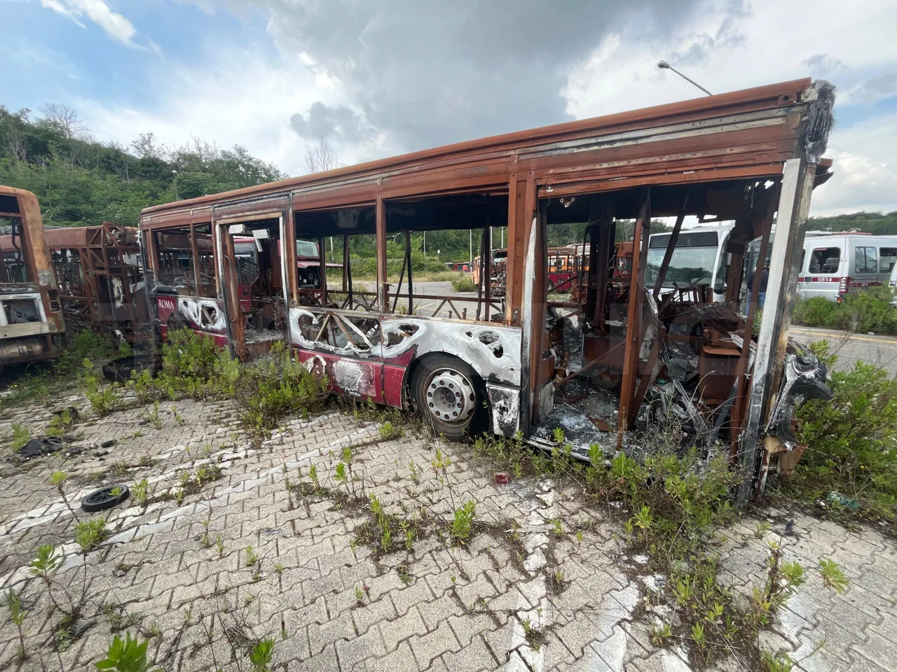 Bundle di 7 mezzi Iveco - Citelis Iveco - Citelis Iveco - Citelis Iveco - Citelis Iveco - Citelis Iveco - Citelis Iveco - Citelis - 城市巴士:图3 Bundle di 7 mezzi Iveco - Citelis Iveco - Citelis Iveco - Citelis Iveco - Citelis Iveco - Citelis Iveco - Citelis Iveco - Citelis - 城市巴士:图3