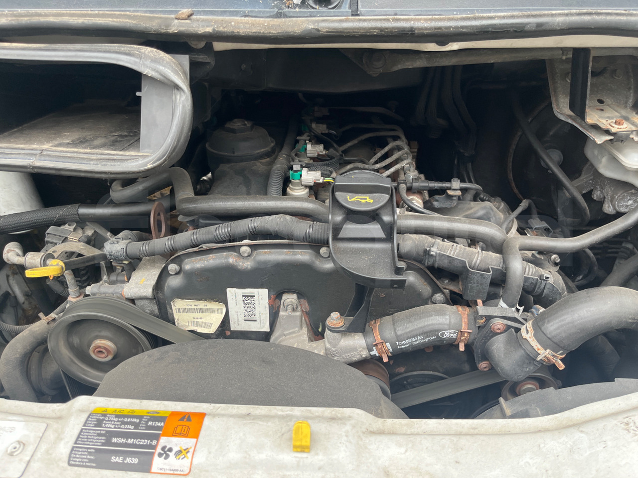 Ford Transit 租赁 Ford Transit：图19