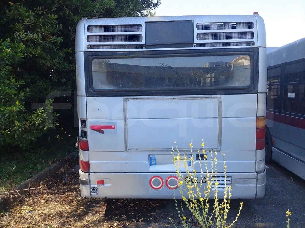 N. 3 Iveco 491/3P - 城市巴士:图4 N. 3 Iveco 491/3P - 城市巴士:图4