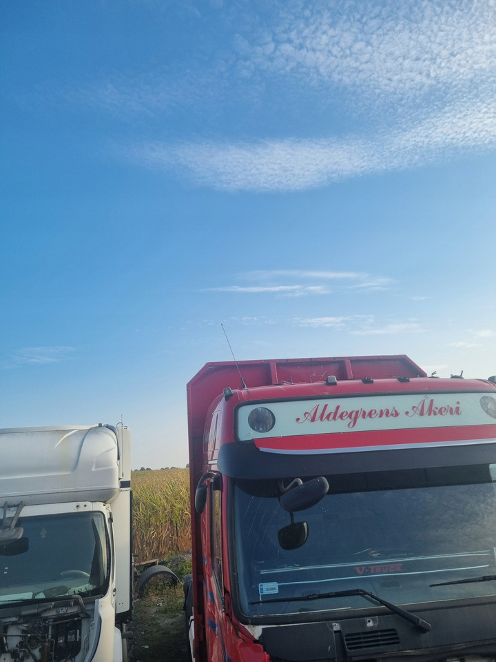 VOLVO BLENDA DASZEK OSŁONA PRZECIWSŁONECZNA MOCOWANIA VOLVO FH 13 16 LIFT - 遮阳板 适用于 卡车:图3 VOLVO BLENDA DASZEK OSŁONA PRZECIWSŁONECZNA MOCOWANIA VOLVO FH 13 16 LIFT - 遮阳板 适用于 卡车:图3