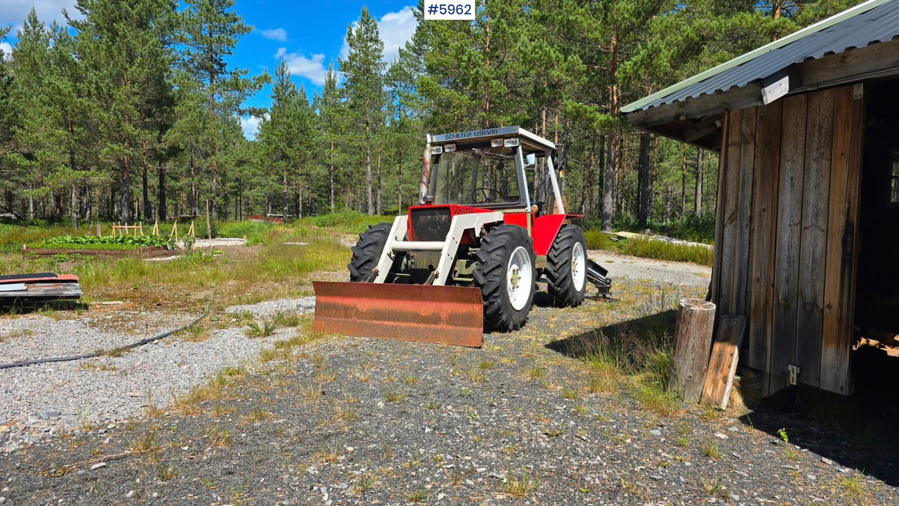 1975 Schilter UT6500 w/ Front loader, - 拖拉机:图1 1975 Schilter UT6500 w/ Front loader, - 拖拉机:图1