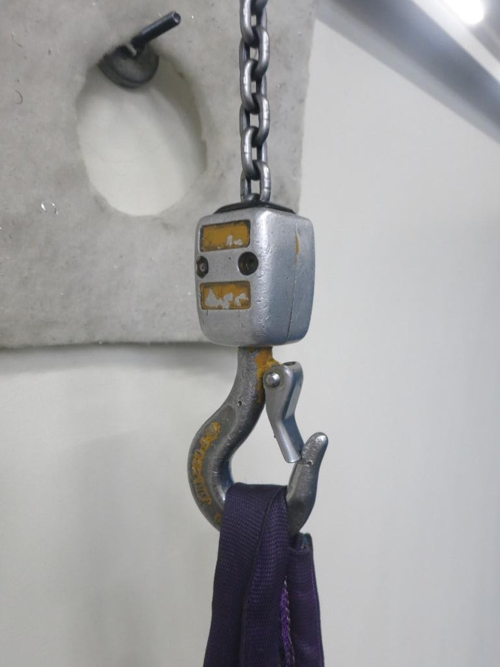 Abus 250 kg - 起重机:图4 Abus 250 kg - 起重机:图4