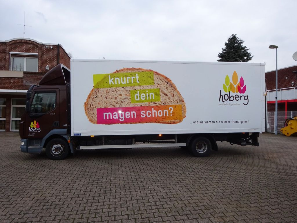 DAF LF 220 Koffer mit Palfinger LBW 4x2 DAF LF 220 Koffer mit Palfinger LBW 4x2 - 厢式货车:图3 DAF LF 220 Koffer mit Palfinger LBW 4x2 DAF LF 220 Koffer mit Palfinger LBW 4x2 - 厢式货车:图3