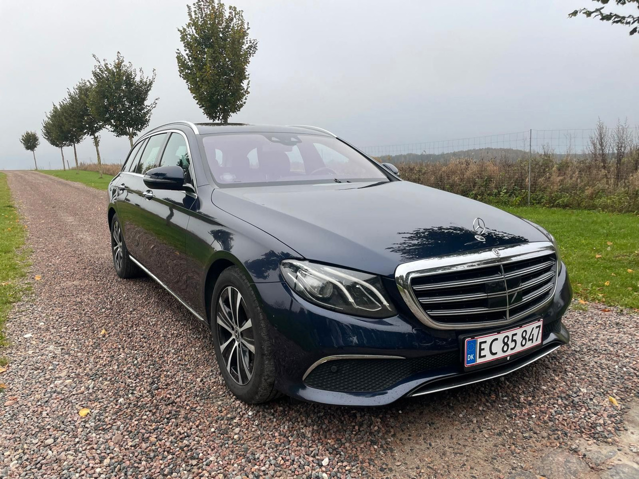 旅行车 Mercedes-Benz E 220 T-Modell E 220 d *4Matic*：图6