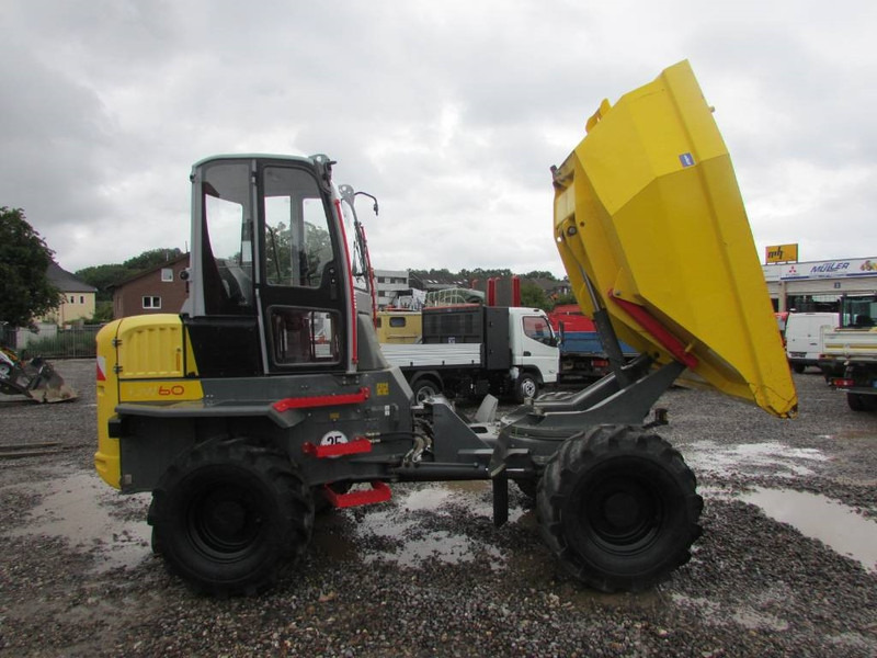 WACKER NEUSON DW 60 Dumper 32.500 EUR - 自卸车:图5 WACKER NEUSON DW 60 Dumper 32.500 EUR - 自卸车:图5