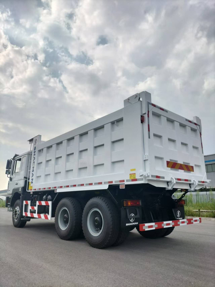 SHACMAN F3000 - 翻斗车:图5 SHACMAN F3000 - 翻斗车:图5