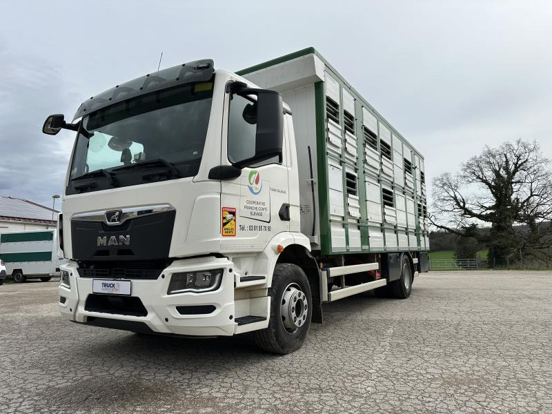MAN M 90 15.290 TGM - 牲畜运输车:图3 MAN M 90 15.290 TGM - 牲畜运输车:图3