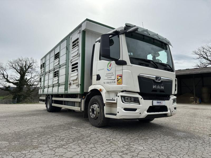 MAN M 90 15.290 TGM - 牲畜运输车:图4 MAN M 90 15.290 TGM - 牲畜运输车:图4