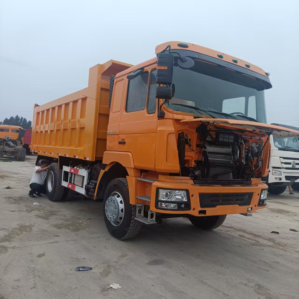 SHACMAN F3000 6x4 - 翻斗车:图3 SHACMAN F3000 6x4 - 翻斗车:图3