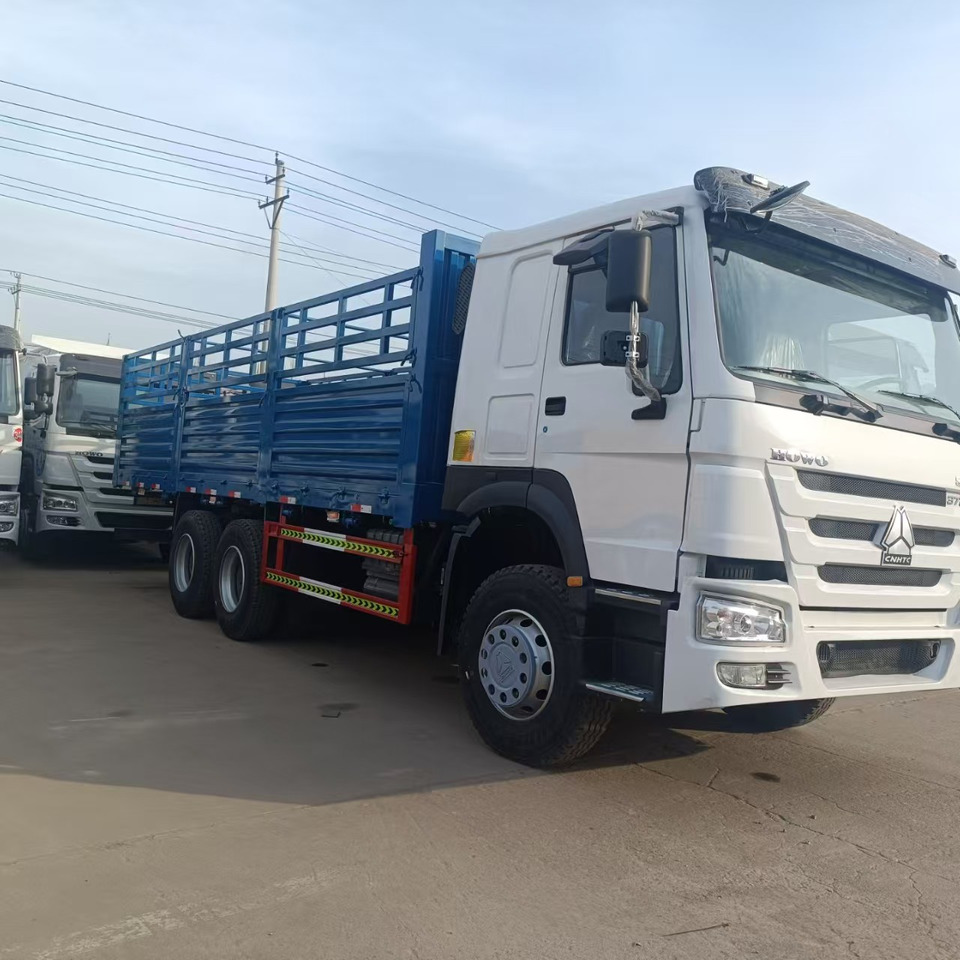 SINOTRUK HOWO - 卡车:图1 SINOTRUK HOWO - 卡车:图1