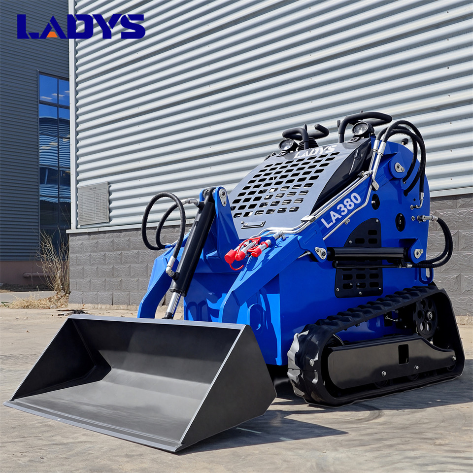 新的 滑移装载机 LADYS Free Shipping Mini Skid Steer Loader Compact Track Electric/Diesel Chinese Mini Skid Steer Loader For Sale With Mini Skid Steer Attachments 4 In 1 Bucket：图6