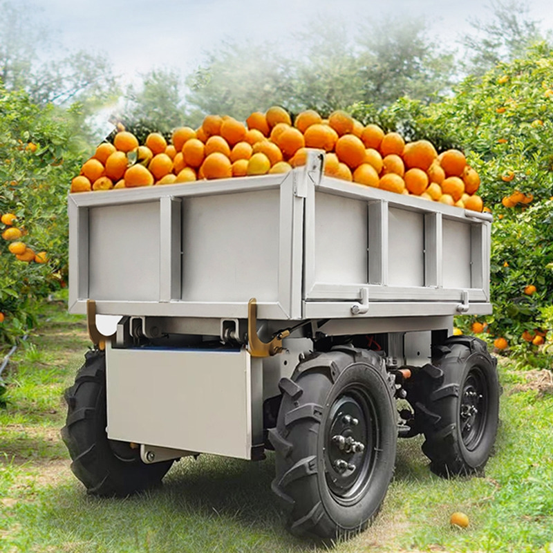 LEZUM Electric Remote Control Transporter Agricultural Orchard Farm Electric Utv Material Handling Equipment All Terrain Transport Vehicle - 全地形车:图5 LEZUM Electric Remote Control Transporter Agricultural Orchard Farm Electric Utv Material Handling Equipment All Terrain Transport Vehicle - 全地形车:图5
